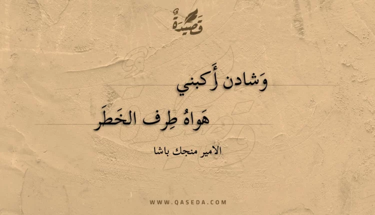 قصيدة وشادن أركبني