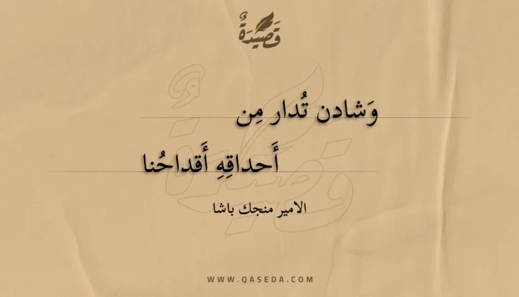 قصيدة وشادن تدار من