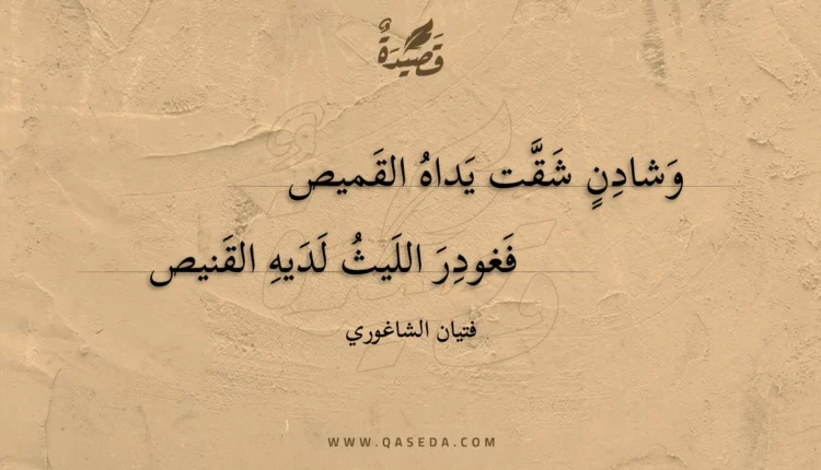 قصيدة وشادن شقت يداه القميص