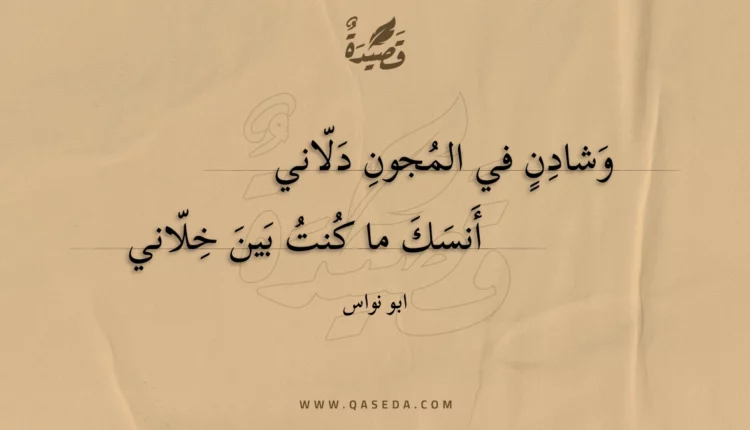 قصيدة وشادن في المجون دلاني