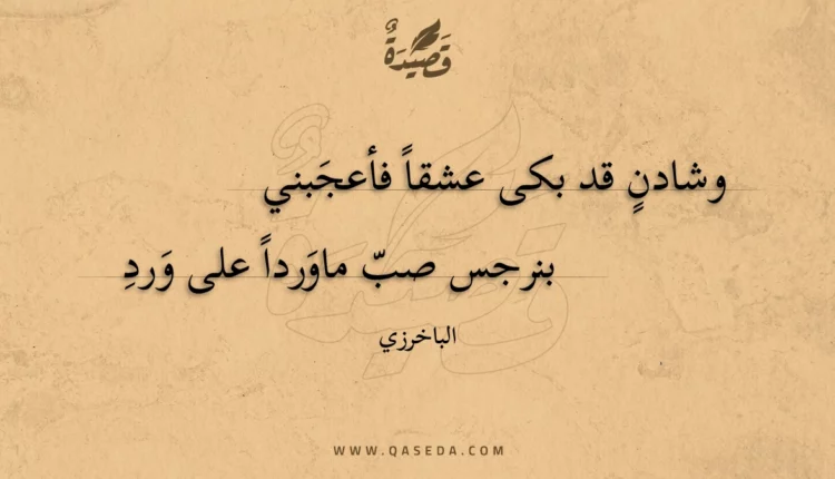 قصيدة وشادن قد بكى عشقا فأعجبني