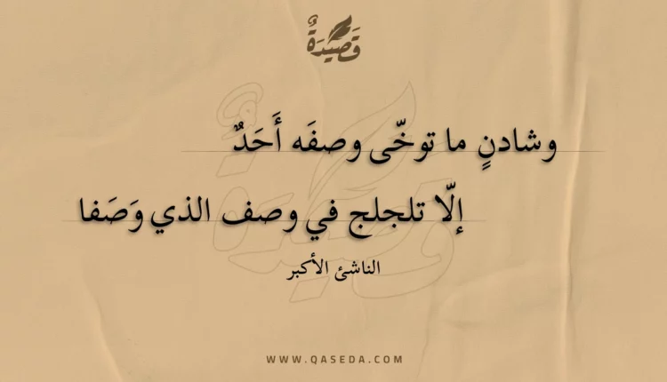 قصيدة وشادن ما توخى وصفه أحد
