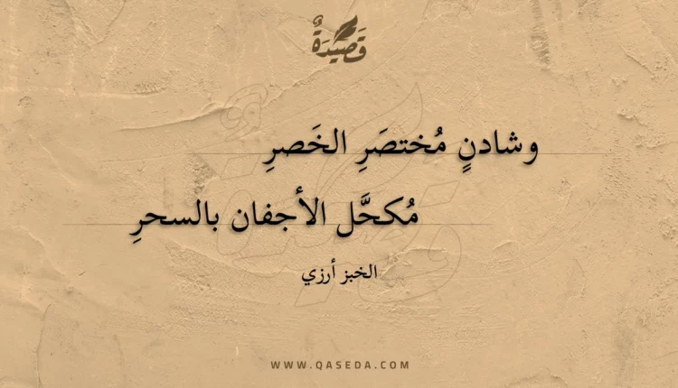قصيدة وشادن مختصر الخصر