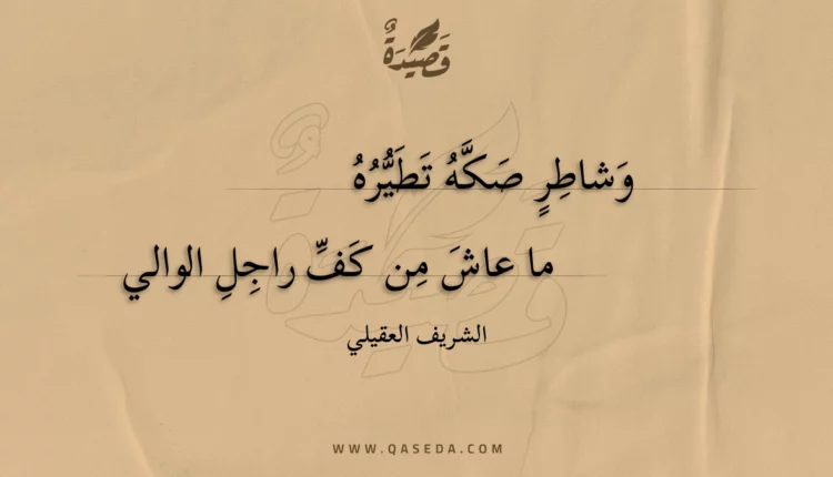 قصيدة وشاطر صكه تطيره