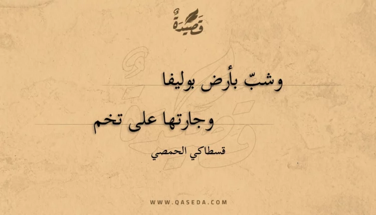 قصيدة وشب بأرض بوليفا