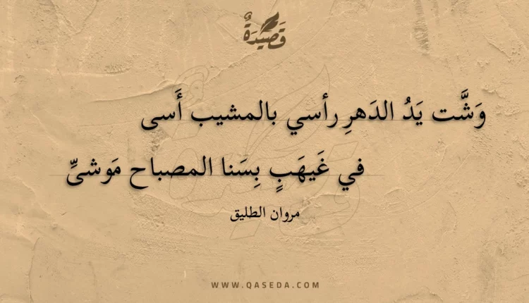 قصيدة وشت يد الدهر رأسي بالمشيب أسى