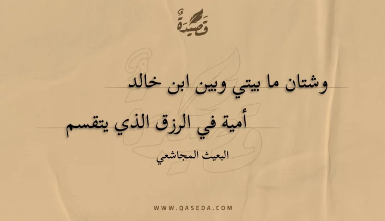 قصيدة وشتان ما بيتي وبين ابن خالد