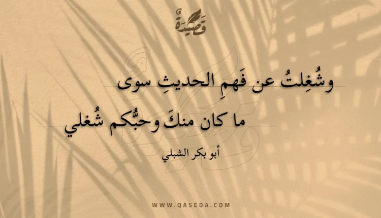 قصيدة وشغلت عن فهم الحديث سوى