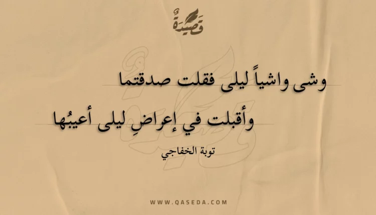 قصيدة وشى واشيا ليلى فقلت صدقتما