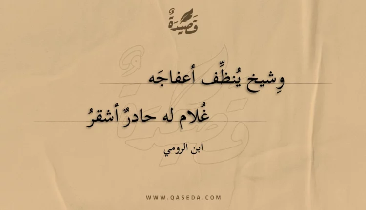 قصيدة وشيخ ينظف أعفاجه