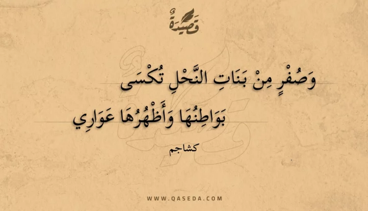 قصيدة وصفر من بنات النحل تكسى