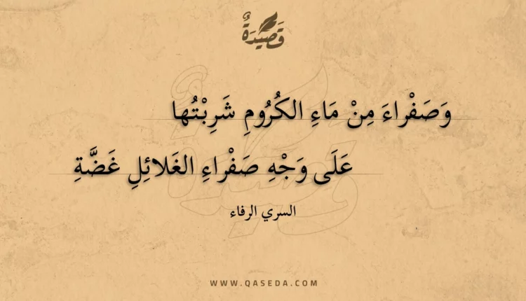 قصيدة وصفراء من ماء الكروم شربتها