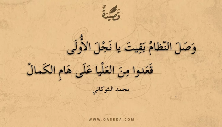 قصيدة وصل النظام بقيت يا نجل الأولى