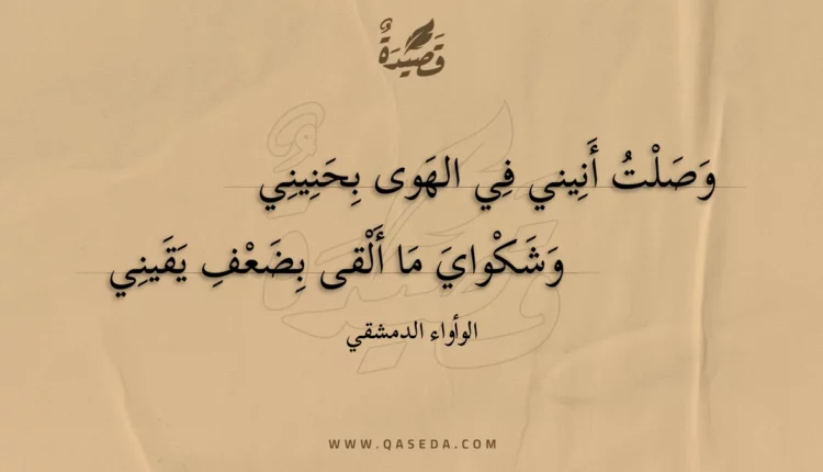 قصيدة وصلت أنيني في الهوى بحنيني