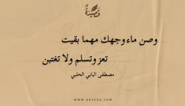 قصيدة وصن ماء وجهك مهما بقيت
