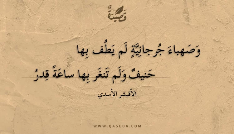 قصيدة وصهباء جرجانية لم يطف بها