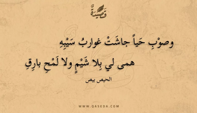 قصيدة وصوب حيا جاشت غوارب سيبه