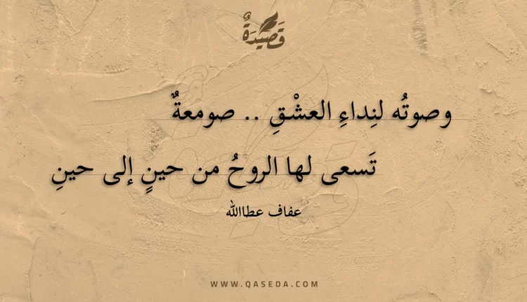 قصيدة وصوته لنداء العشق .. صومعة