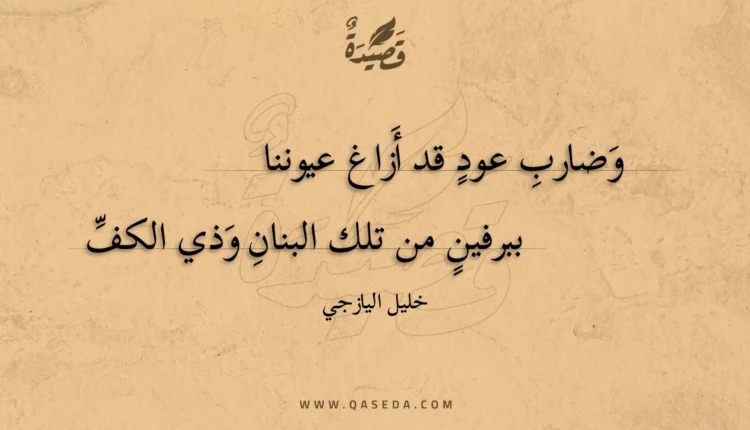 قصيدة وضارب عود قد أزاغ عيوننا