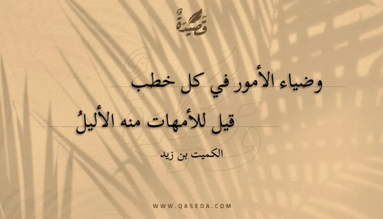 قصيدة وضياء الأمور في كل خطب