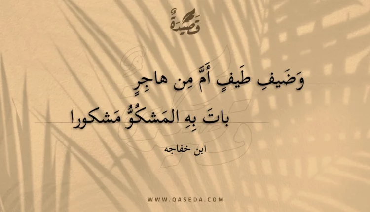 قصيدة وضيف طيف أم من هاجر