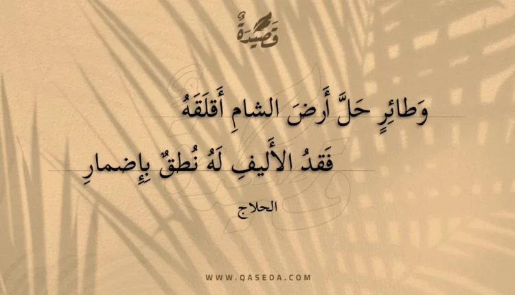 قصيدة وطائر حل أرض الشام أقلقه