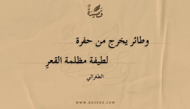 قصيدة وطائر يخرج من حفرة