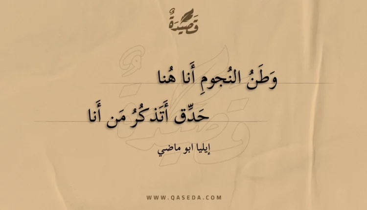قصيدة وطن النجوم أنا هنا