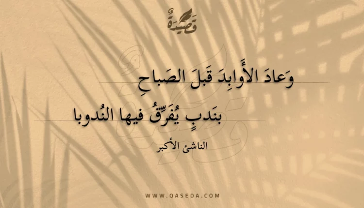 قصيدة وعاد الأوابد قبل الصباح