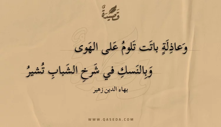 قصيدة وعاذلة باتت تلوم على الهوى