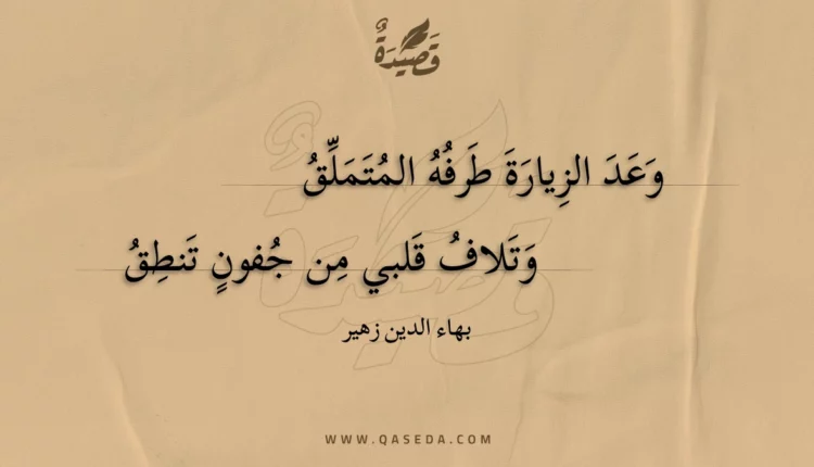 قصيدة وعد الزيارة طرفه المتملق