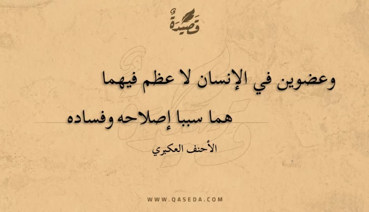 قصيدة وعضوين في الإنسان لا عظم فيهما