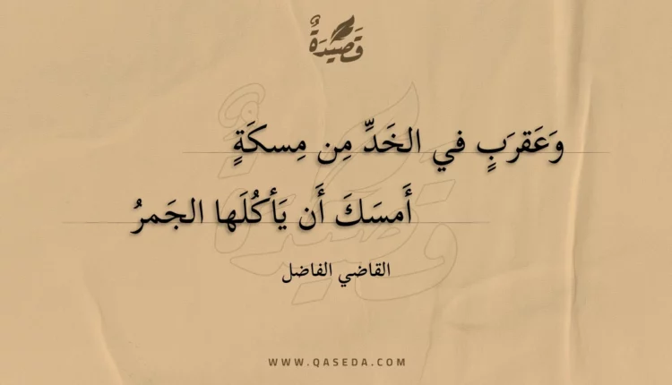قصيدة وعقرب في الخد من مسكة