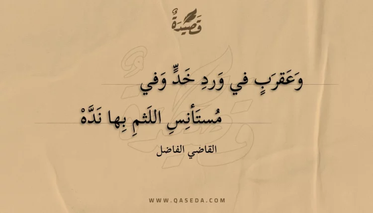 قصيدة وعقرب في ورد خد وفي