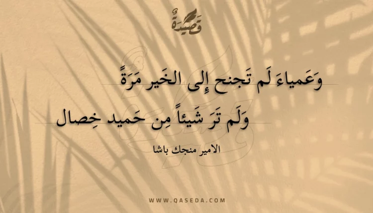 قصيدة وعمياء لم تجنح إلى الخير مرة