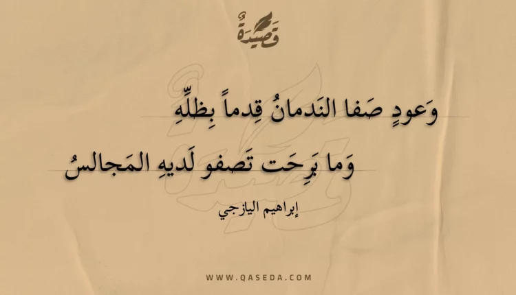 قصيدة وعود صفا الندمان قدما بظله