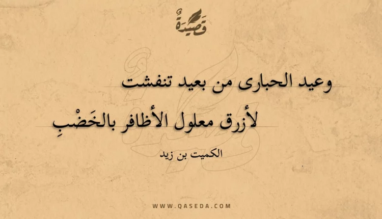 قصيدة وعيد الحبارى من بعيد تنفشت