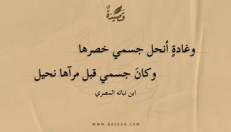 قصيدة وغادة أنحل جسمي خصرها