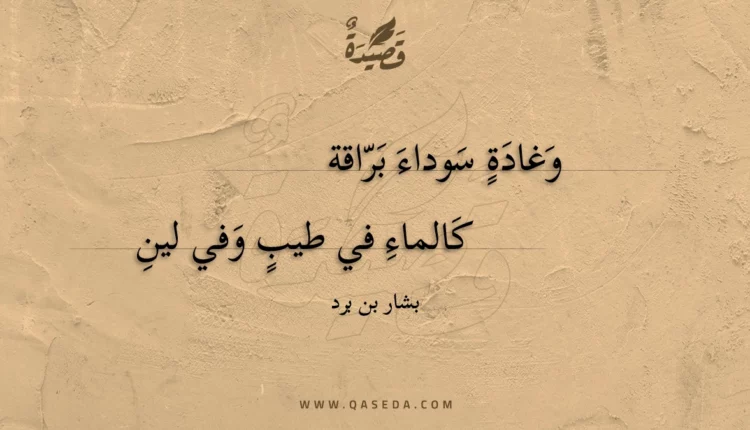 قصيدة وغادة سوداء براقة