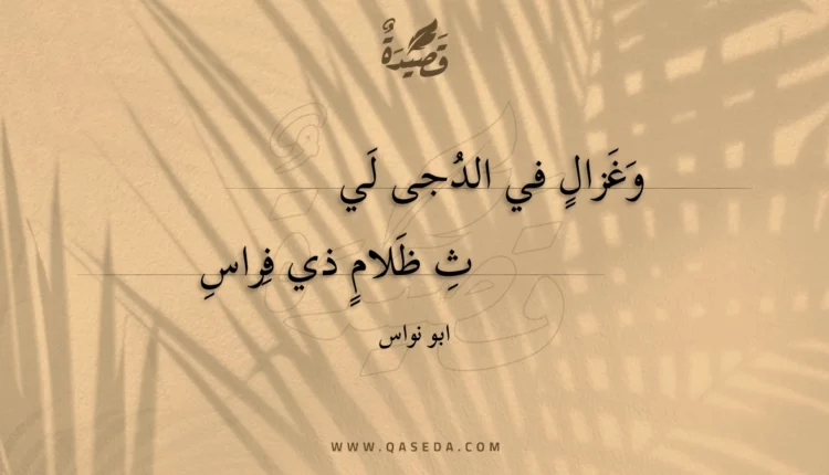قصيدة وغزال في الدجى لي