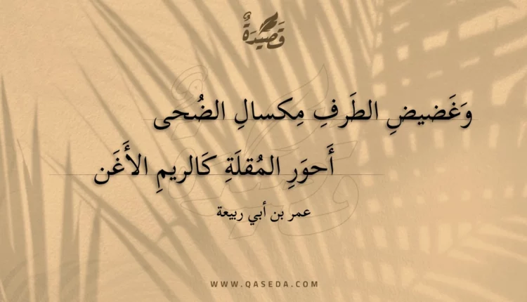 قصيدة وغضيض الطرف مكسال الضحى