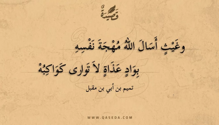 قصيدة وغيث أسال الله مهجة نفسه