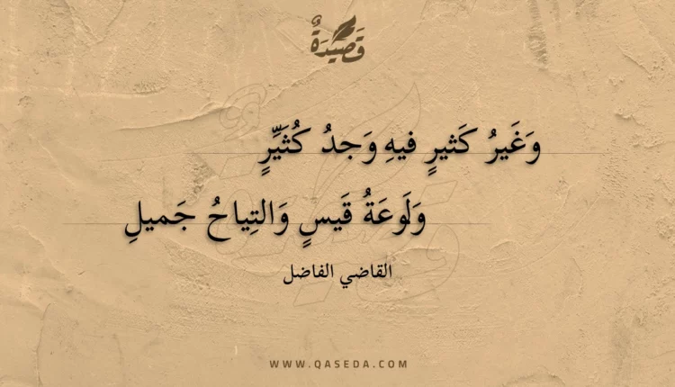 قصيدة وغير كثير فيه وجد كثير