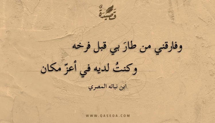 قصيدة وفارقني من طار بي قبل فرخه