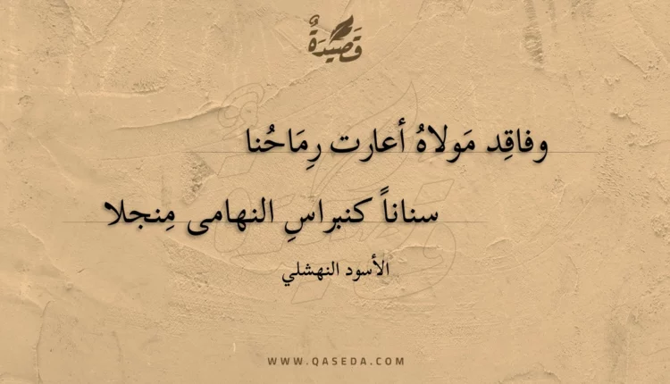 قصيدة وفاقد مولاهُ أعارت رماحُنا
