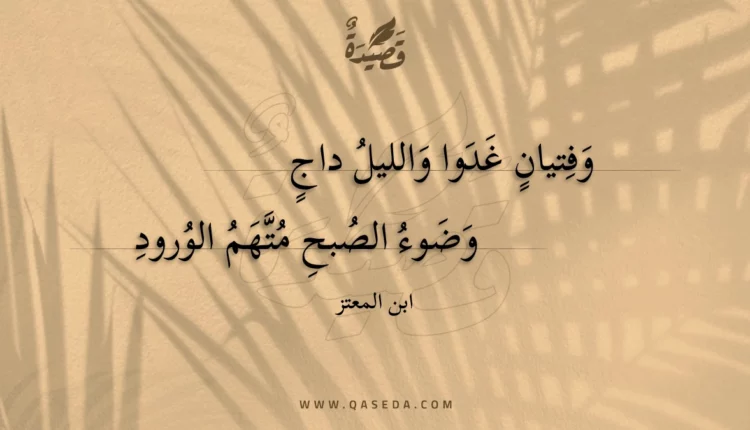 قصيدة وفتيان غدوا والليل داج