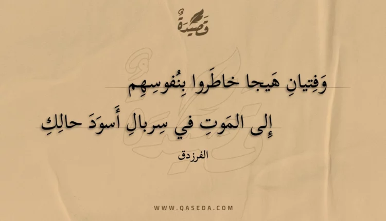 قصيدة وفتيان هيجا خاطروا بنفوسهم