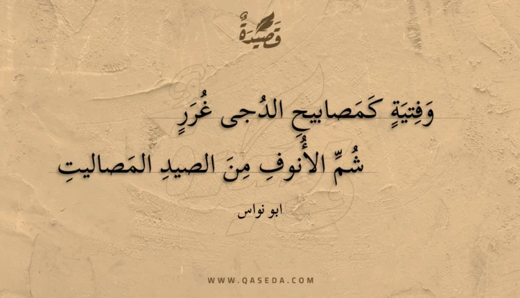 قصيدة وفتية كمصابيح الدجى غرر