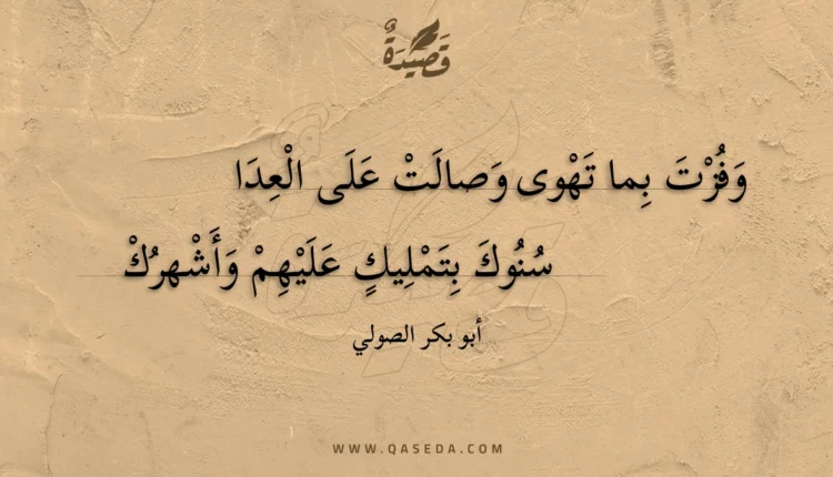 قصيدة وفزت بما تهوى وصالت على العدا