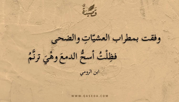 قصيدة وفقت بمطراب العشيات والضحى
